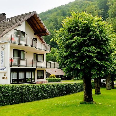 Harz Hotel Iris Sieber Extérieur photo