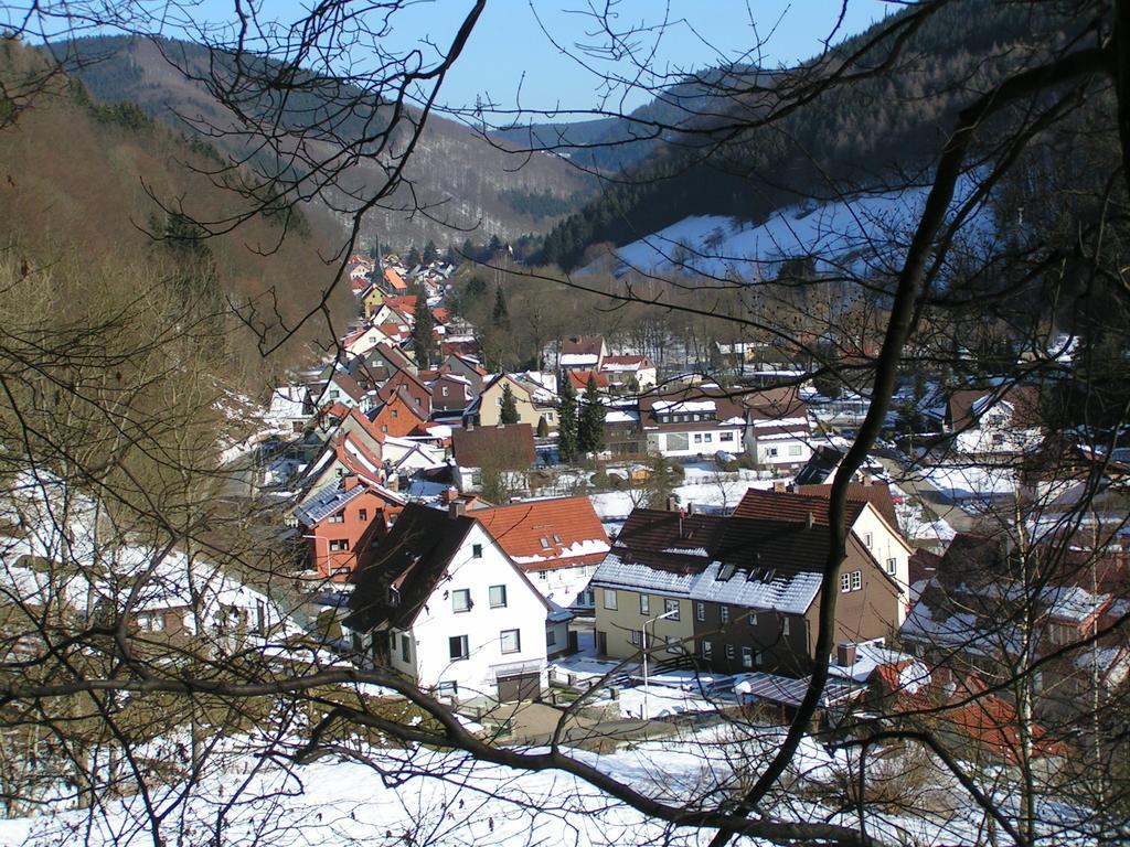 Harz Hotel Iris Sieber Extérieur photo