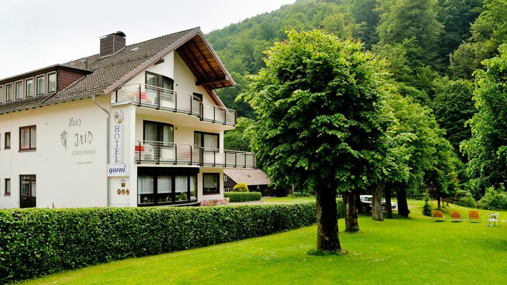 Harz Hotel Iris Sieber Extérieur photo