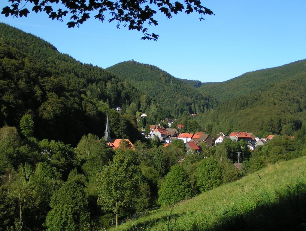 Harz Hotel Iris Sieber Extérieur photo