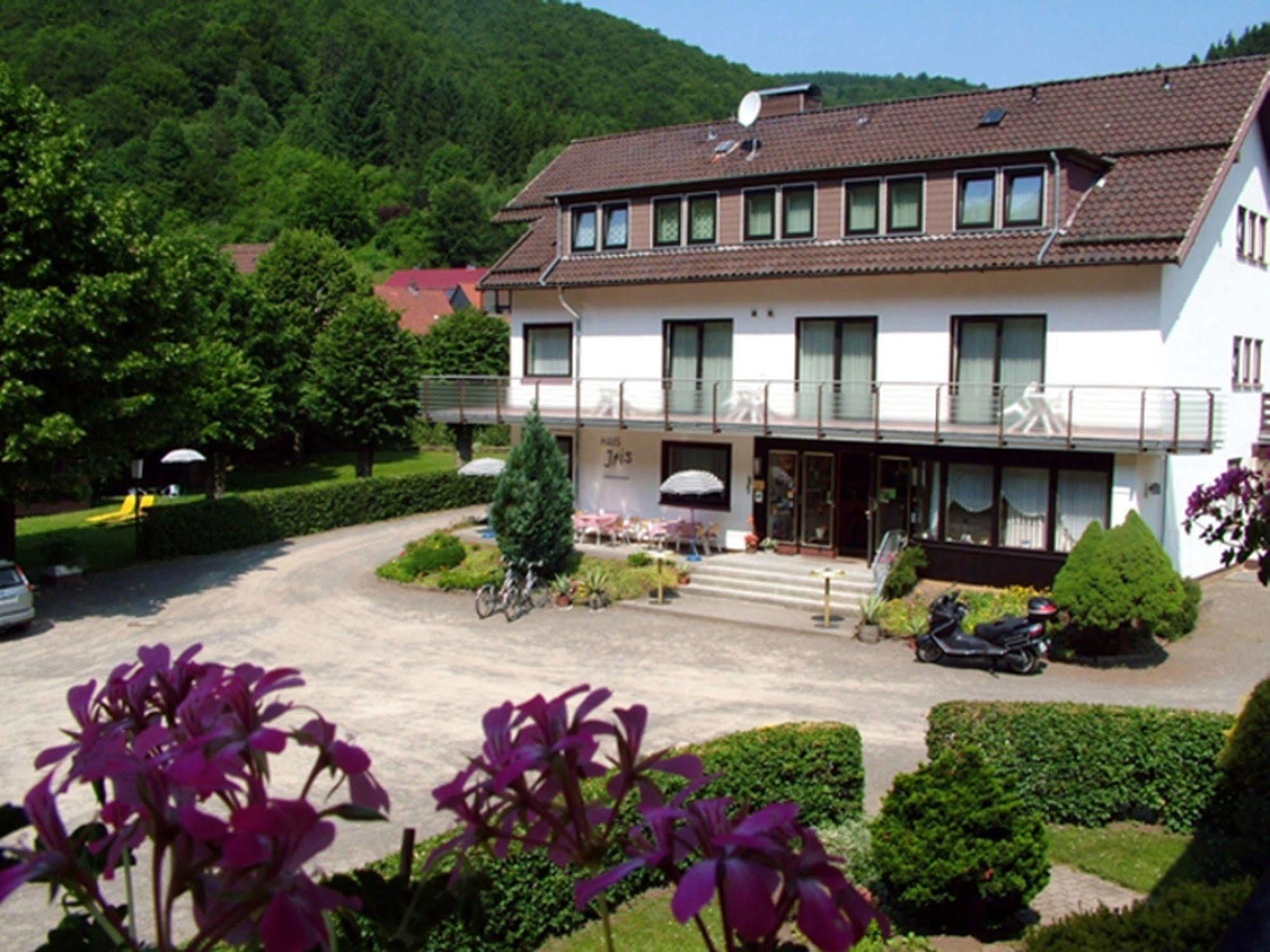 Harz Hotel Iris Sieber Extérieur photo