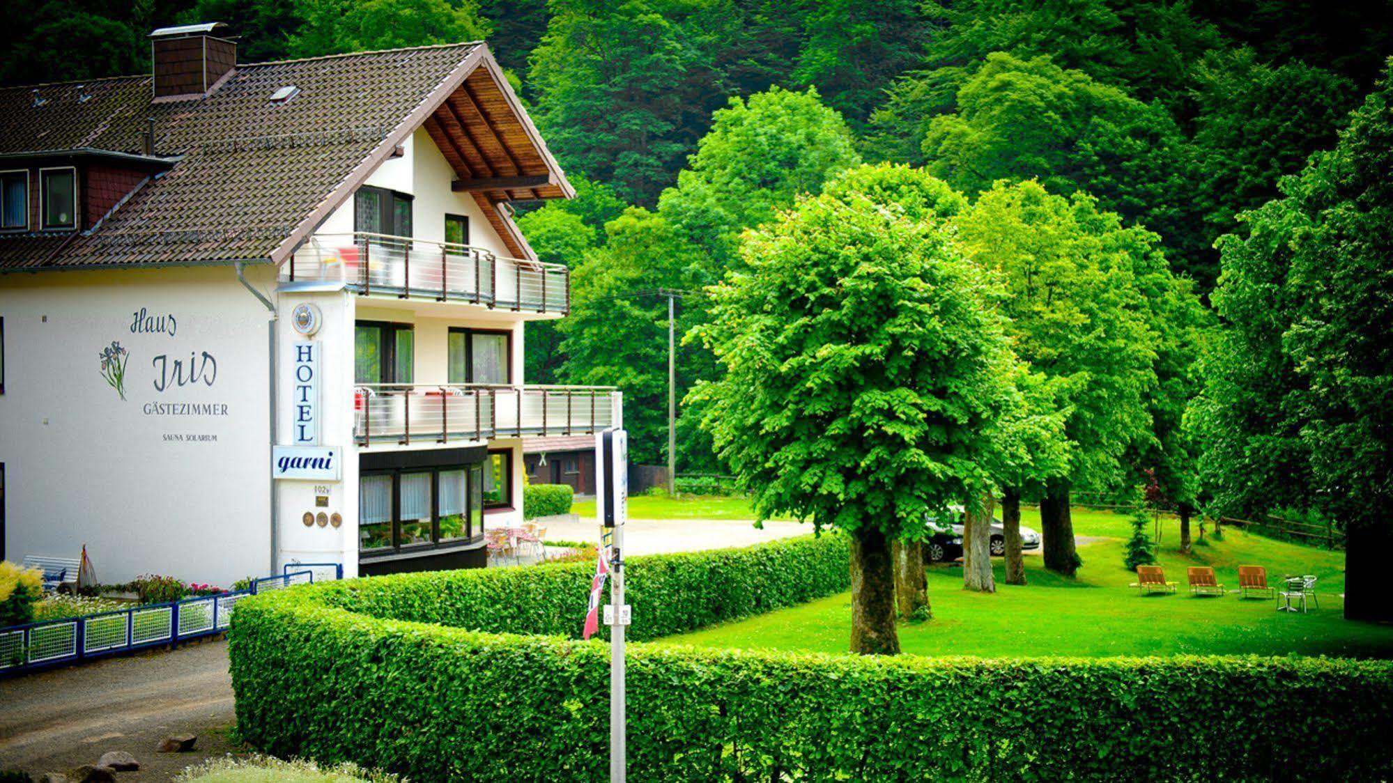 Harz Hotel Iris Sieber Extérieur photo